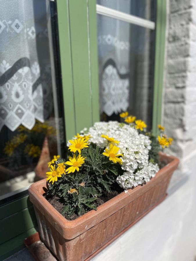 De Wabisabiboerderij Bed & Breakfast Oedelem Екстериор снимка
