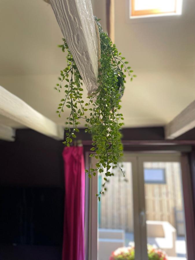 De Wabisabiboerderij Bed & Breakfast Oedelem Екстериор снимка