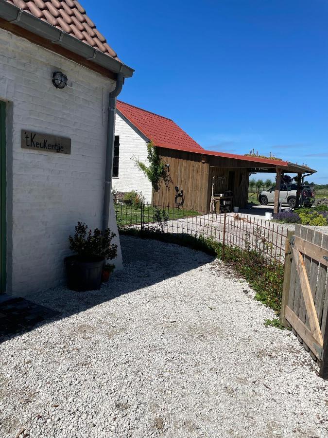 De Wabisabiboerderij Bed & Breakfast Oedelem Екстериор снимка