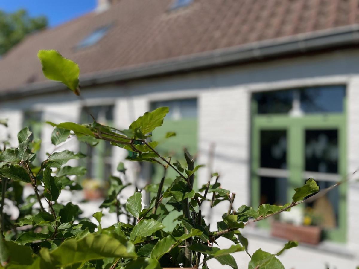De Wabisabiboerderij Bed & Breakfast Oedelem Екстериор снимка