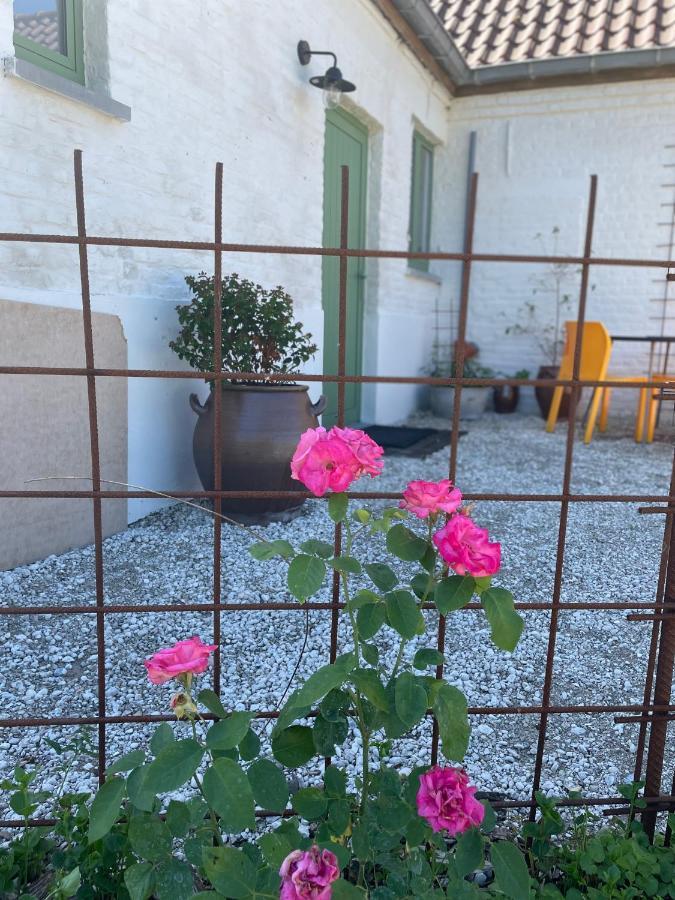 De Wabisabiboerderij Bed & Breakfast Oedelem Екстериор снимка